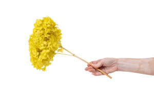 preserved-hydrangea-anna-19.