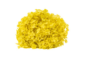 hortensia-stabilise-anna-19.