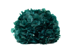 hortensia-stabilise-14.