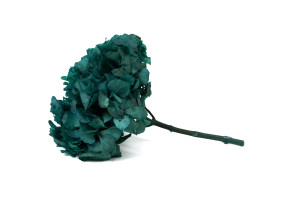 preserved-hydrangea-14.