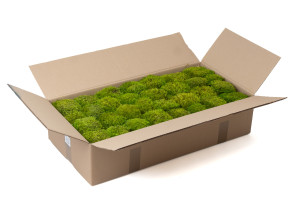 preserved-moss-from-provence-5-cn.