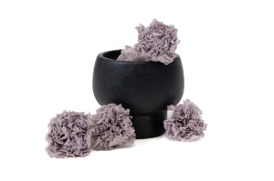 preserved-carnation-14.