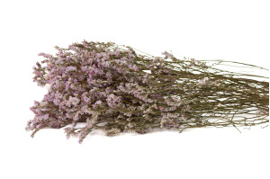 getrocknete-limonium-18.