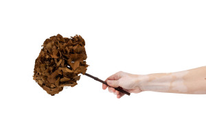 preserved-hydrangea-14.