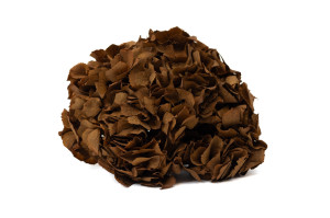 preserved-hydrangea-14.