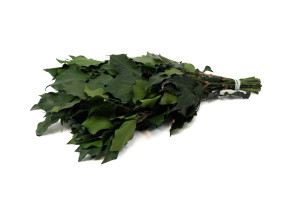 stabilisierter-efeu-gruen-14.