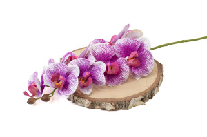 orchidee-artificielle-42.