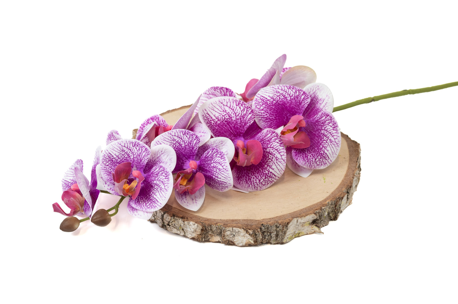 artificial-orchid-42