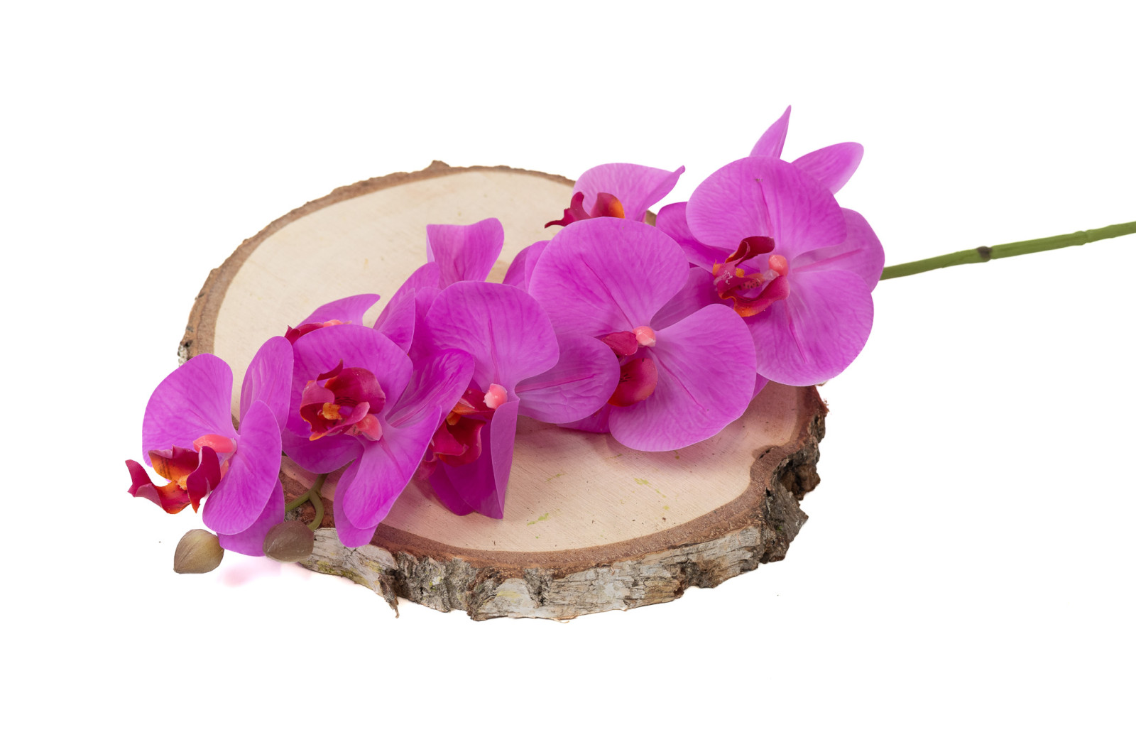 artificial-orchid-42