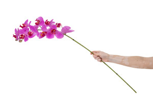 orchidee-artificielle-42.