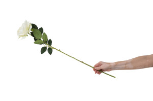 pivoine-artificielle-42.