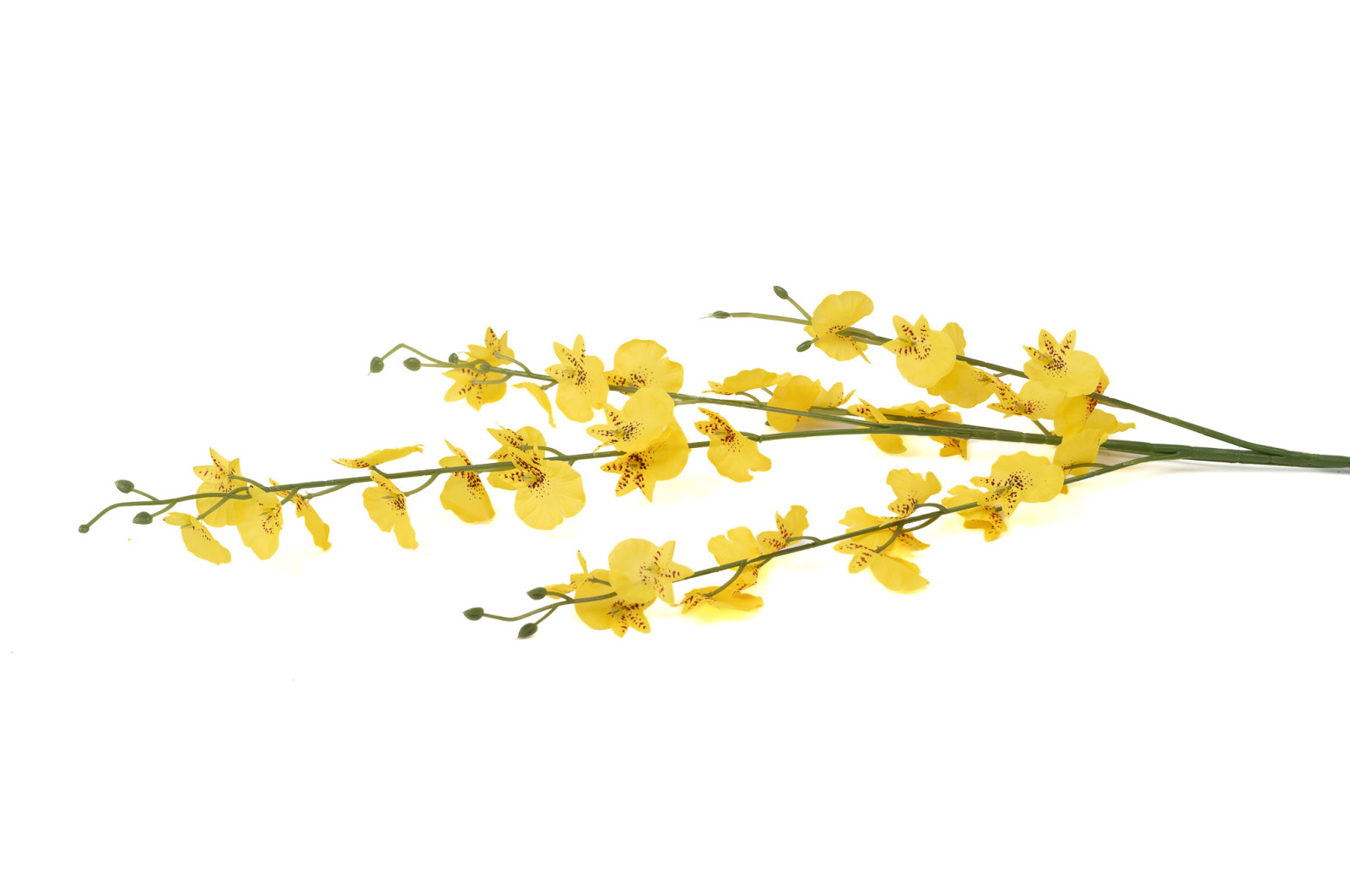 orchidee-oncidium-artificielle-42