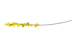 forsythia-artificiel-42.