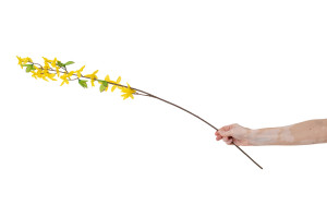 kuenstliche-forsythie-42.