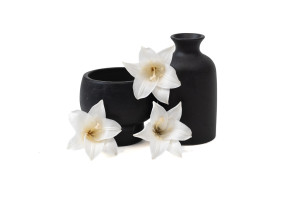 stabilisiertes-lilium-30.