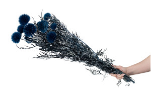 stabilisierte-distel-8.