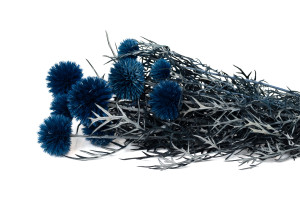 stabilisierte-distel-8.