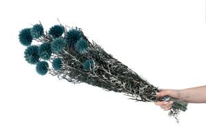 preserved-thistle-8.