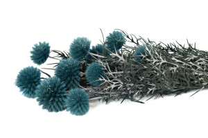 stabilisierte-distel-8.