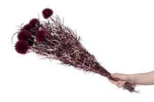 preserved-thistle-8.