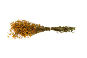 gypsophile-stabilise-8.