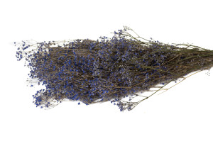 preserved-gypsophila-8.