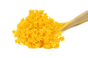 dried-hill-flower-8.