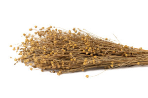 dried-flax-8.