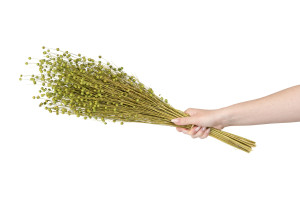 dried-flax-8.
