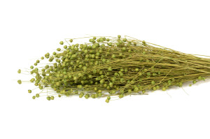 dried-flax-8.