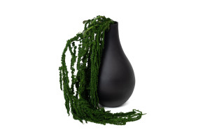 preserved-amaranthus-8.