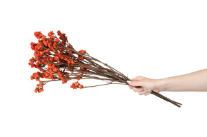 statice-stabilisee-6.