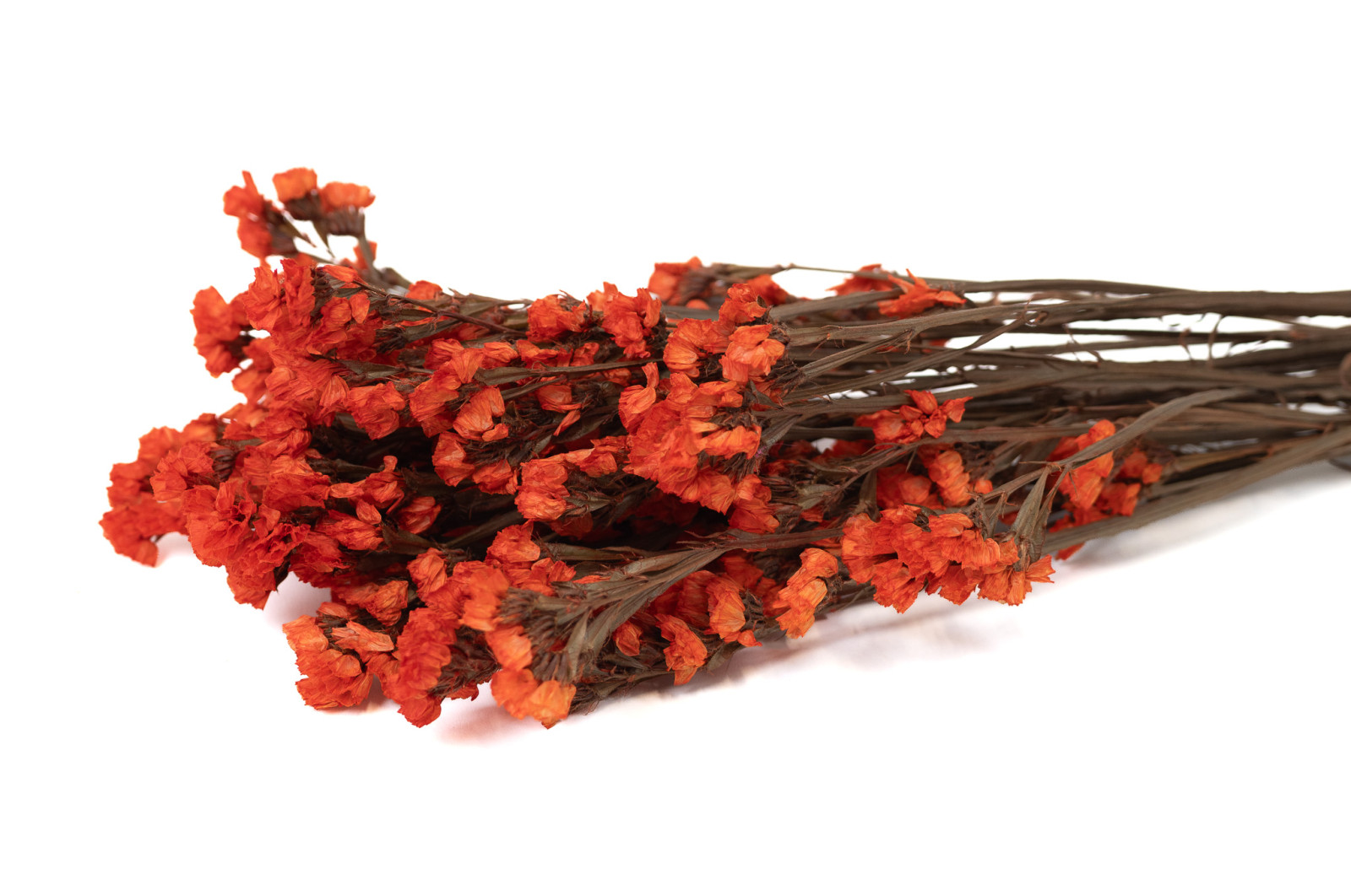 stabiliserte-statice-6