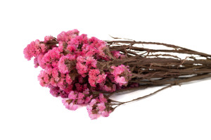 statice-stabilisee-6.