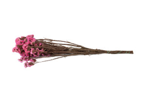 statice-stabilisee-6.