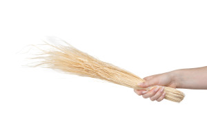 dried-stipa-pennata-natural-20.