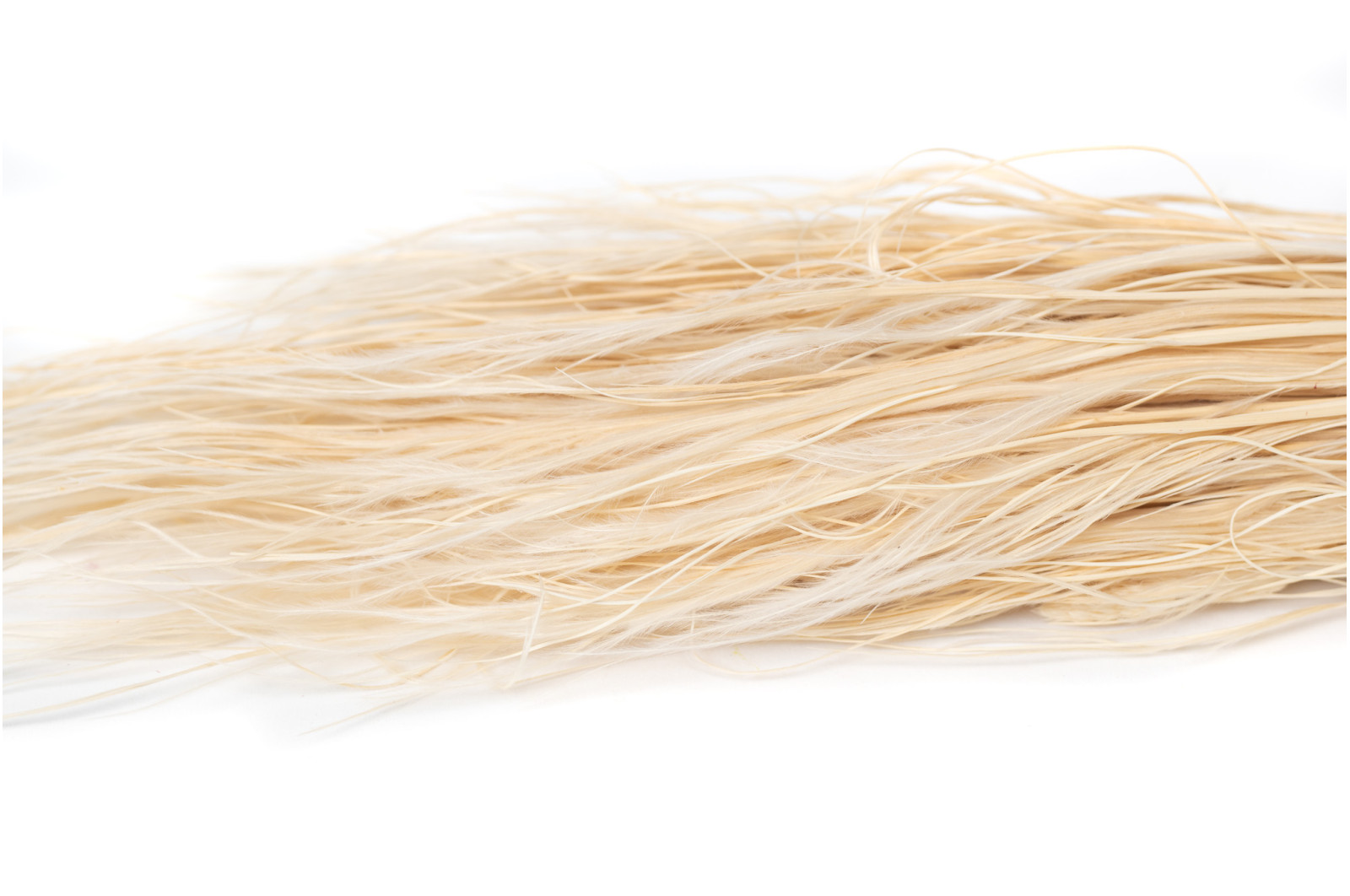 stipe-plumeuse-seche-20