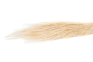 stipe-plumeuse-seche-20.