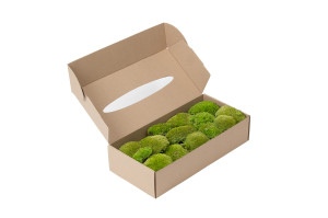 fire-retardant-preserved-pole-moss-5-b.