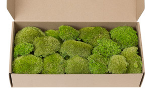 fire-retardant-preserved-pole-moss-5-b.