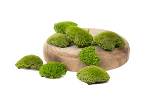 fire-retardant-preserved-pole-moss-5-b.