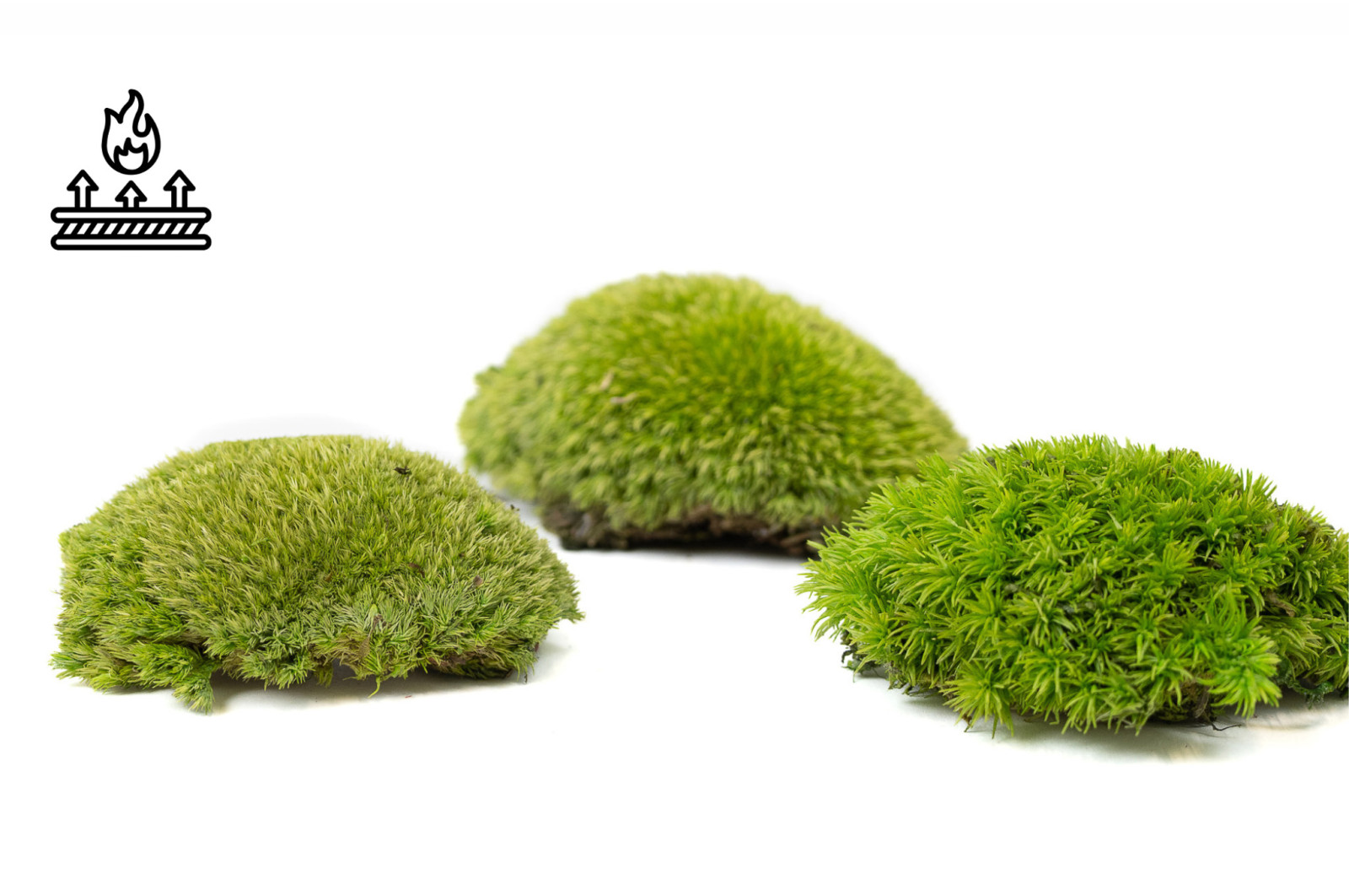 fire-retardant-preserved-pole-moss-5-b