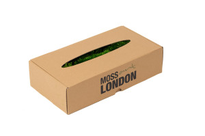 preserved-moss-from-provence-2-b.