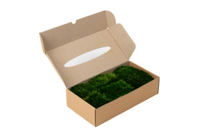 preserved-moss-from-provence-2-b.