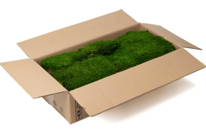 preserved-flat-moss-2-25-kg.