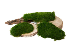 preserved-flat-moss-2-25-kg.