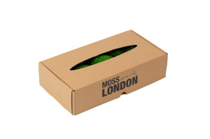 mousse-de-provence-stabilisee-2-b.