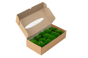 preserved-moss-from-provence-2-b.