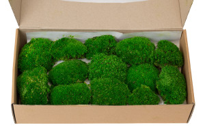 preserved-moss-from-provence-2-b.