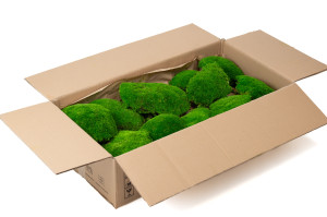 preserved-pole-moss-large-diameter-2-cn.